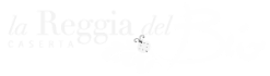 lareggiadelbio